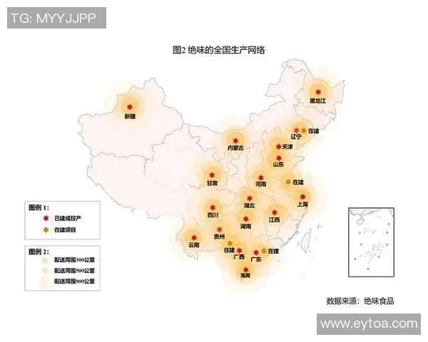 上海网球队战术分析揭示其在全国排名第九的原因与优势