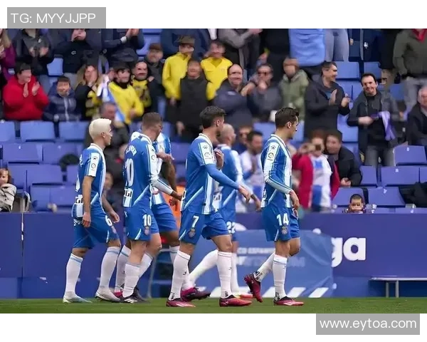 波黑足球明星盘点：那些在国际赛场上闪耀的传奇球员